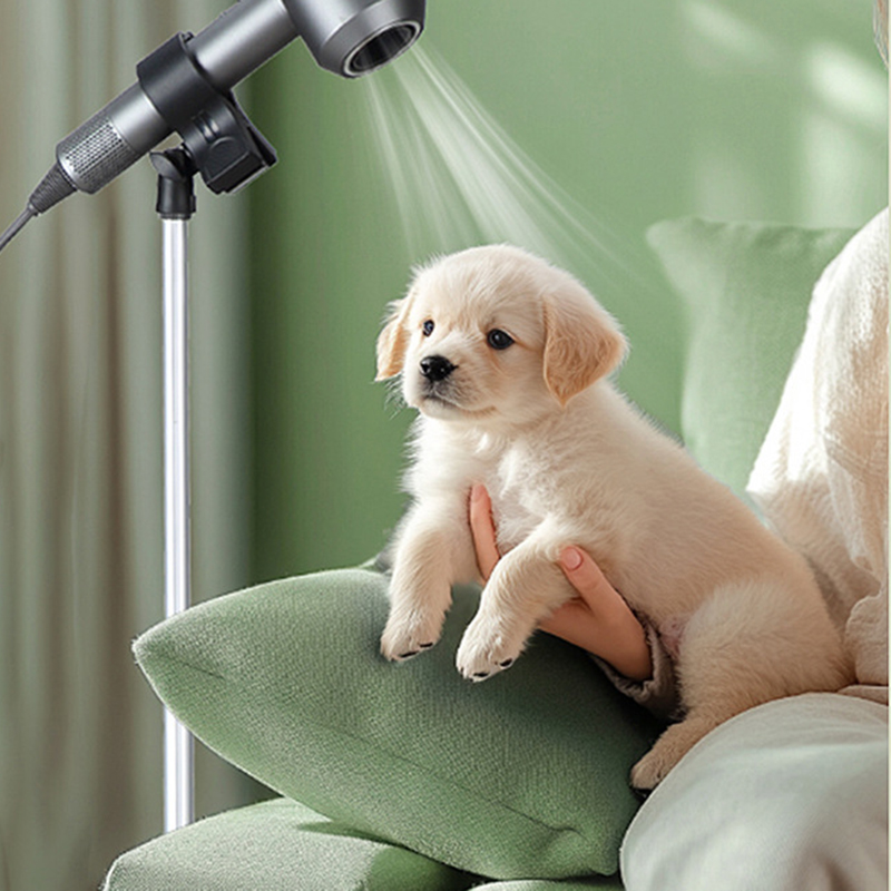 أصحاب مجفف الشعر المحمولة العم - مراجعة Hair Dryer Stand Hands Free Floor وسعره