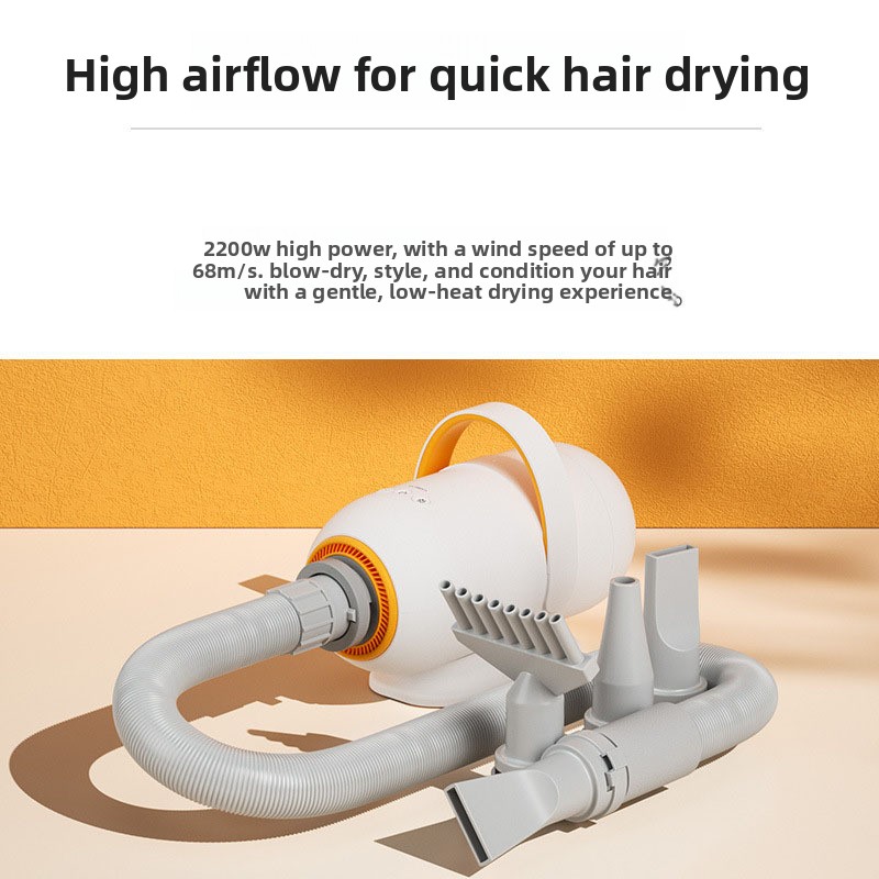 مجفف شعر متعدد الوظائف للحيوان - مراجعة Hair Blow Dryer Low Noise Powerful وسعره
