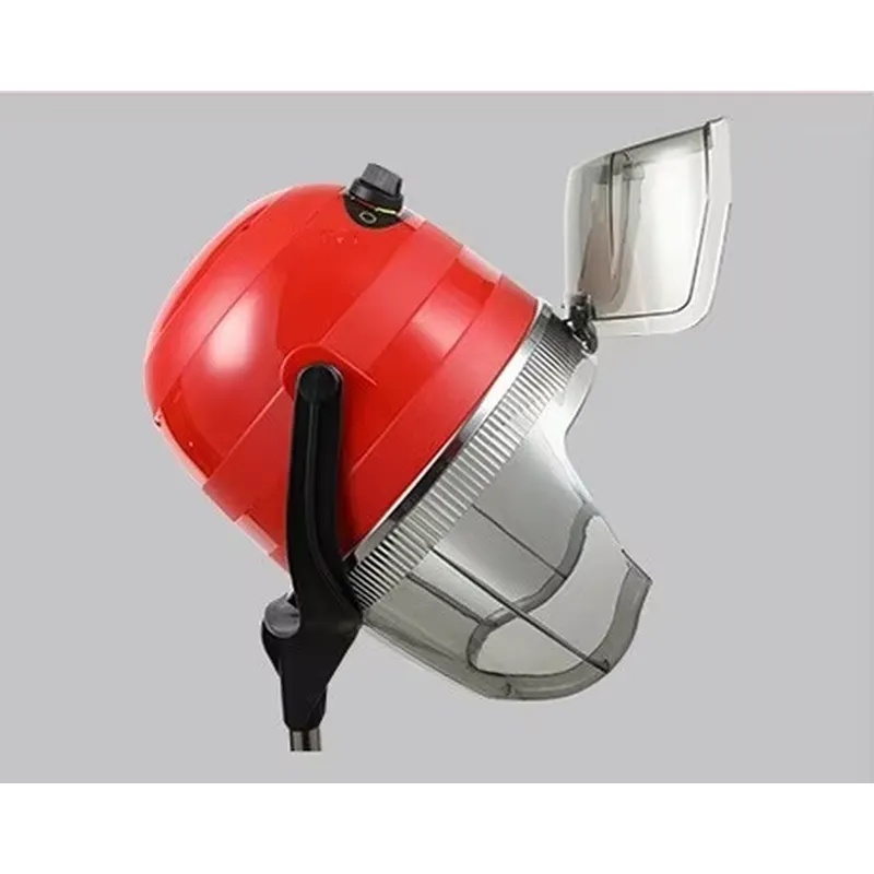 مجفف شعر احترافي عمودي للخوذة، - مراجعة Hair Salon Hood Dryer Professional وسعره